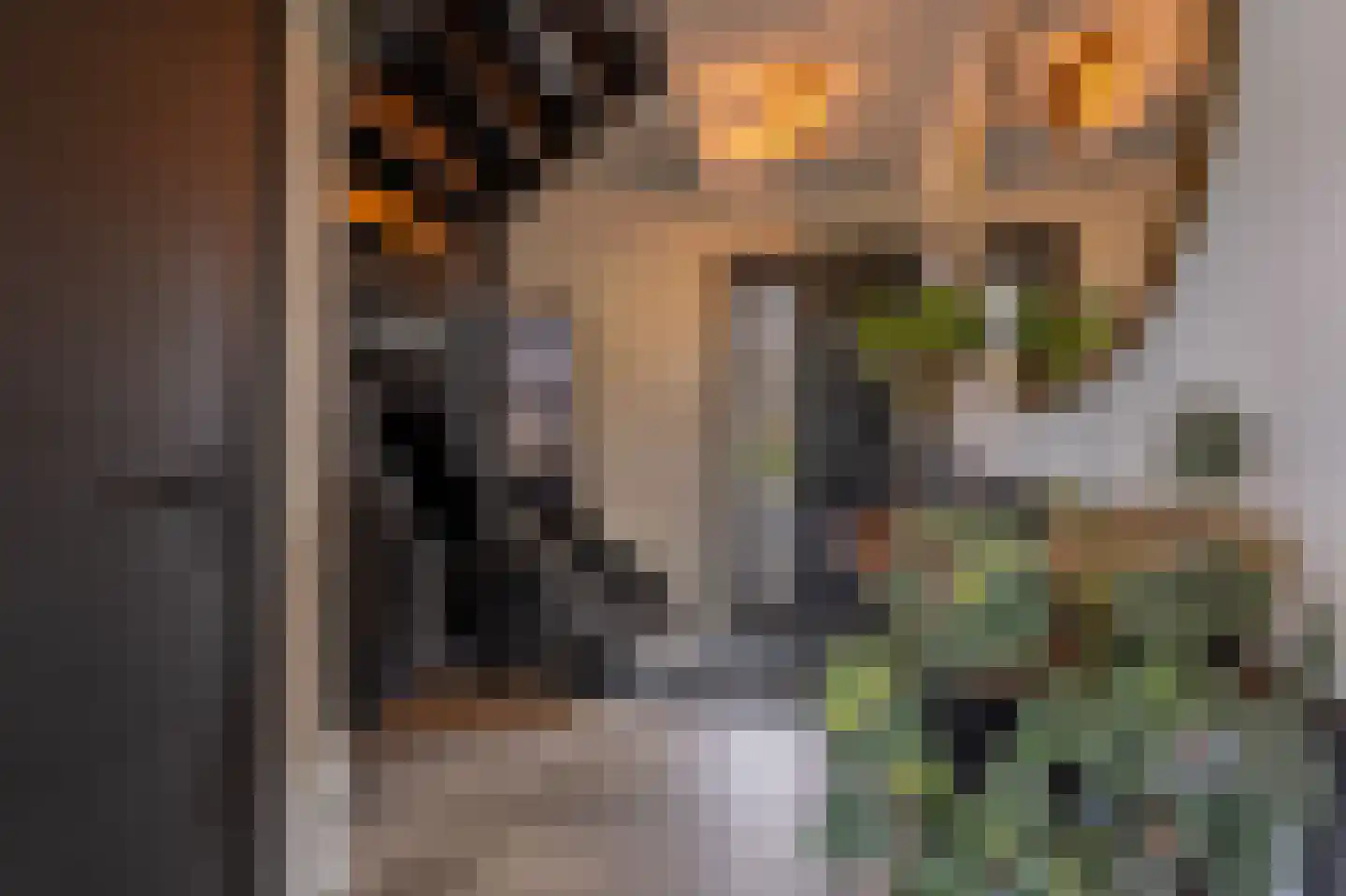 Zwanegatsedijk 4 A Maasdam thumbnail 13