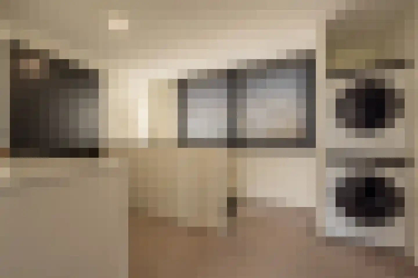 Zwanegatsedijk 4 A Maasdam thumbnail 15