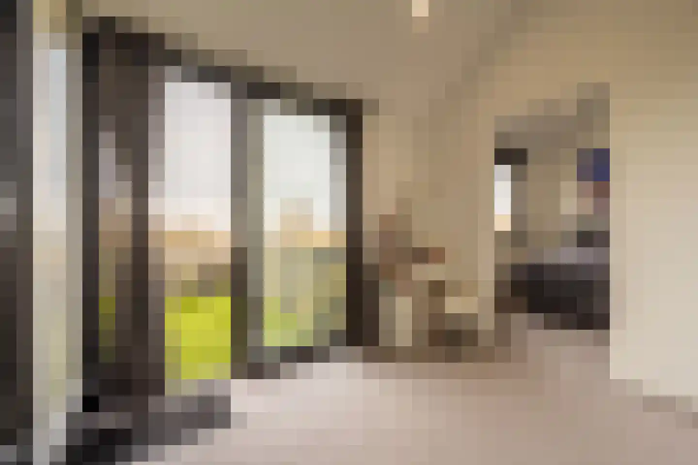 Zwanegatsedijk 4 A Maasdam thumbnail 17