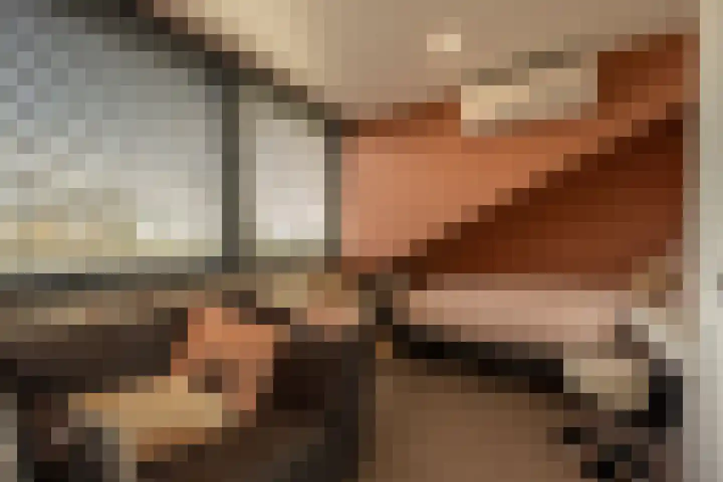 Zwanegatsedijk 4 A Maasdam thumbnail 18