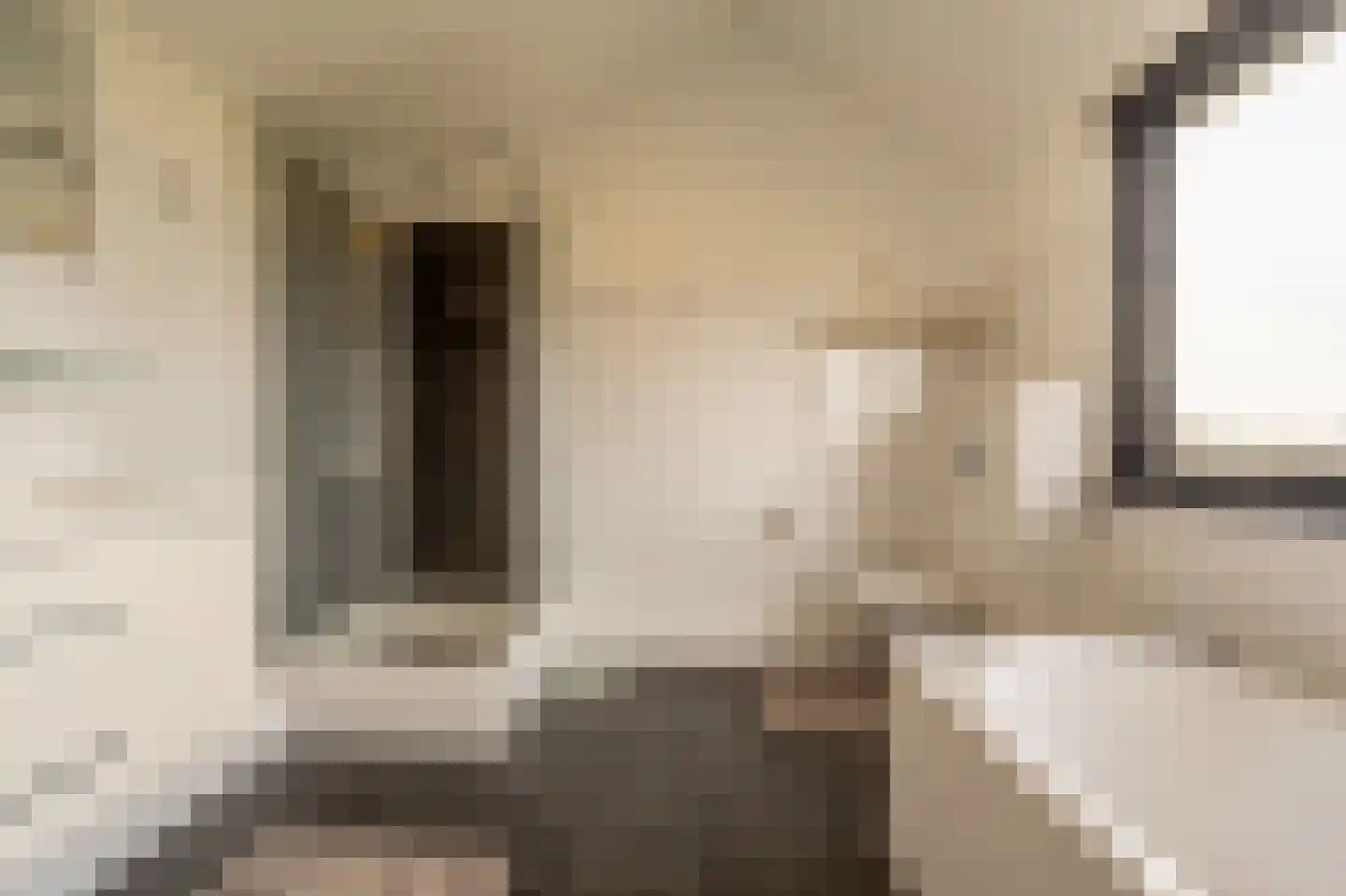 Zwanegatsedijk 4 A Maasdam thumbnail 19