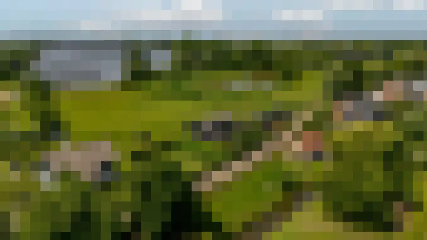 Zwanegatsedijk 4 A Maasdam foto 2