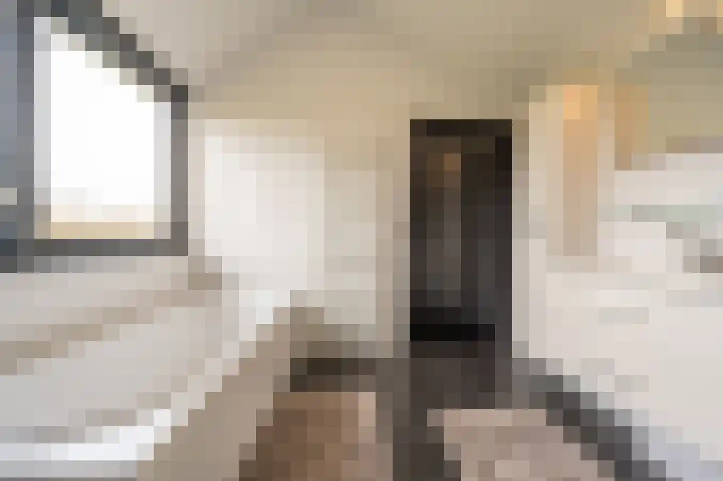 Zwanegatsedijk 4 A Maasdam thumbnail 20