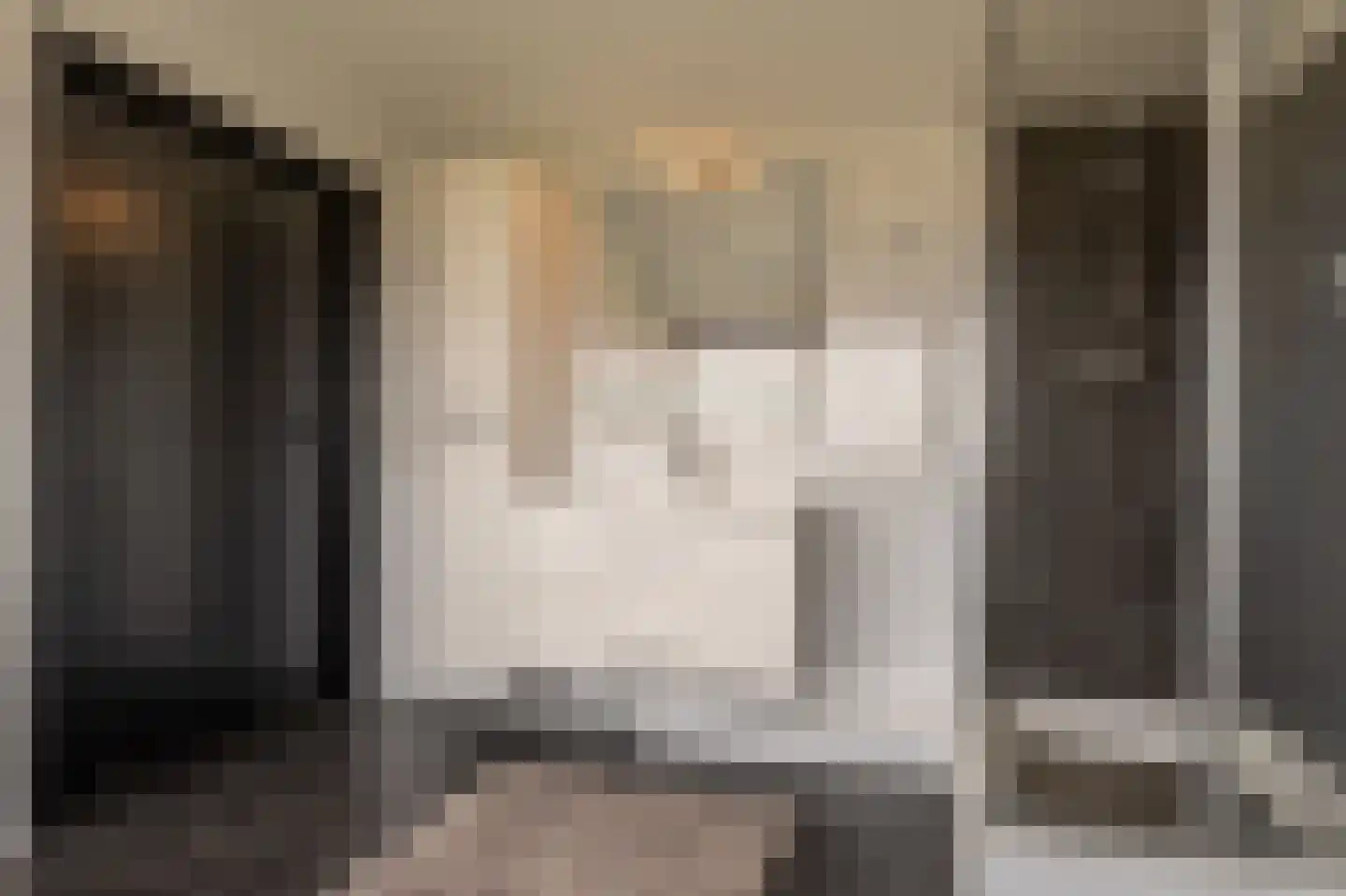 Zwanegatsedijk 4 A Maasdam thumbnail 21