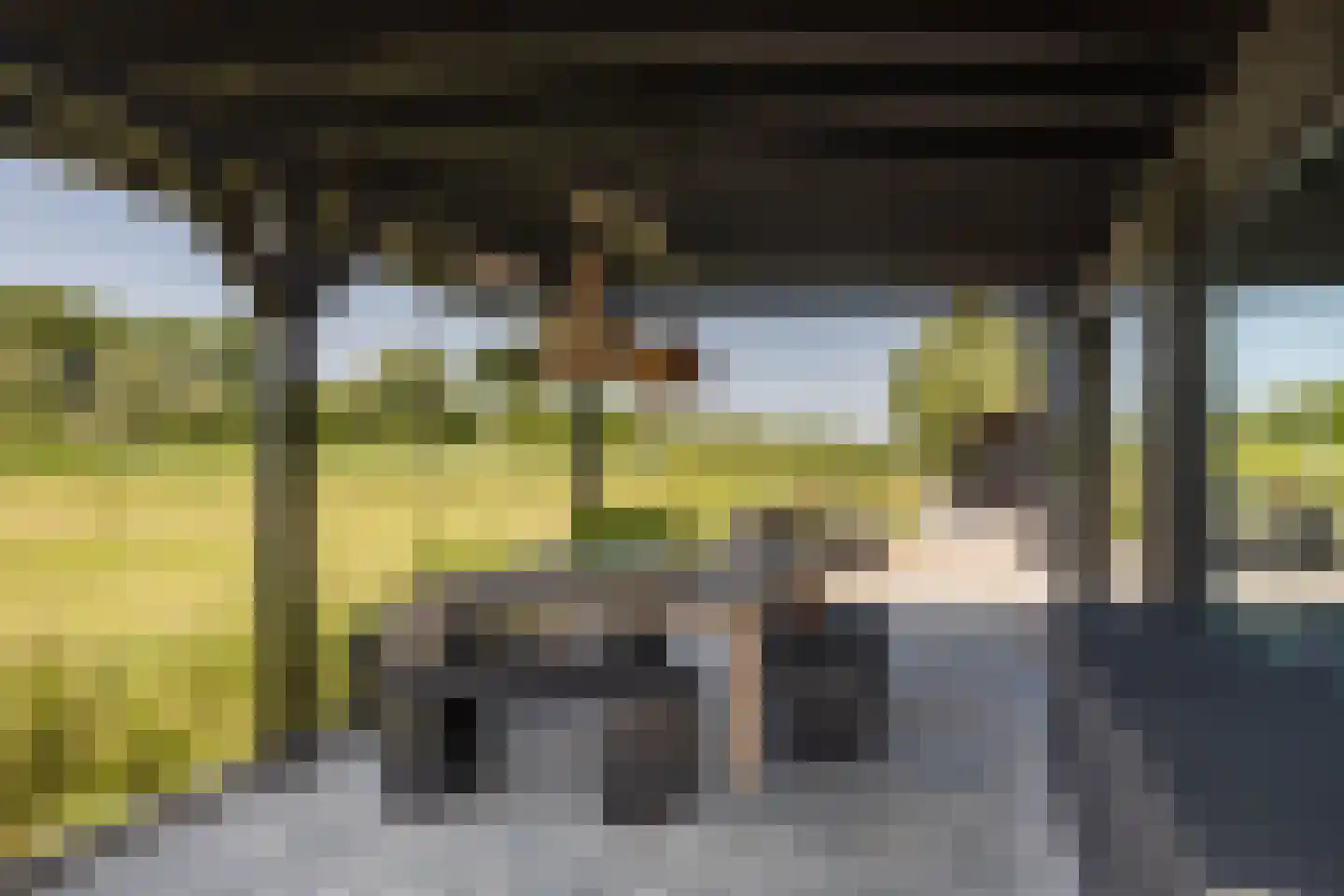 Zwanegatsedijk 4 A Maasdam thumbnail 23