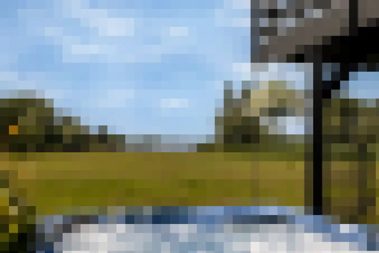Zwanegatsedijk 4 A Maasdam thumbnail 26