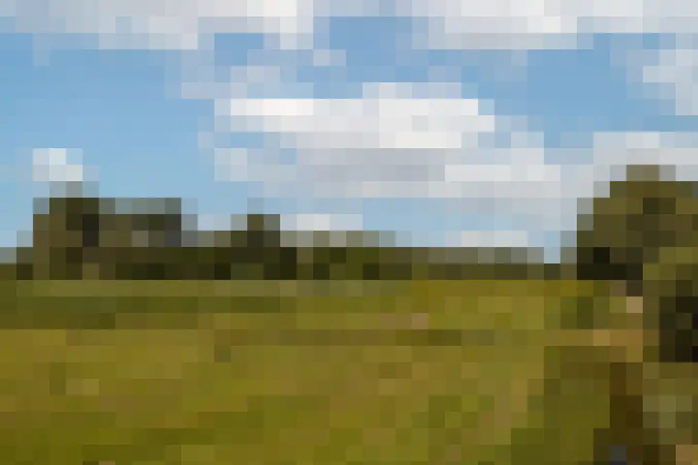Zwanegatsedijk 4 A Maasdam thumbnail 28
