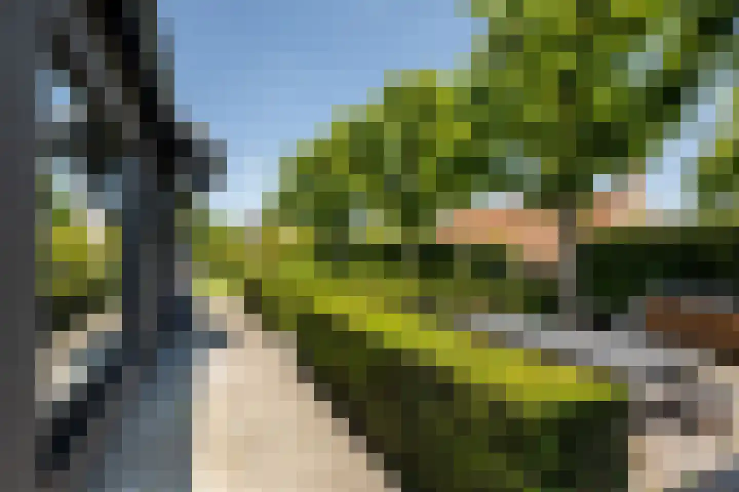 Zwanegatsedijk 4 A Maasdam thumbnail 31