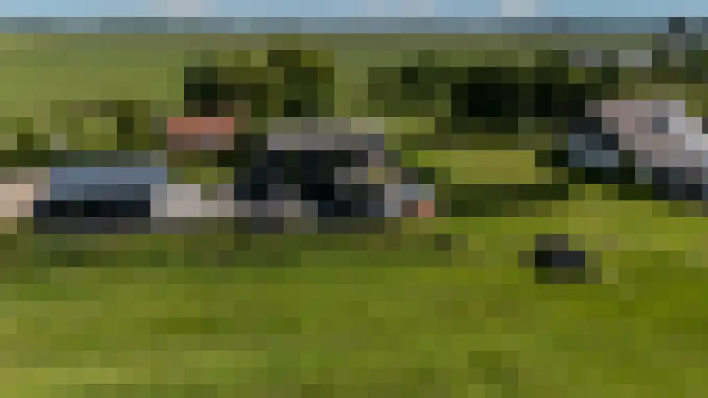 Zwanegatsedijk 4 A Maasdam thumbnail 33