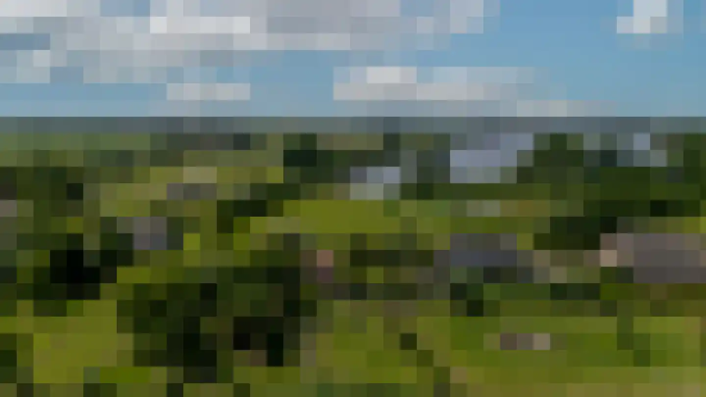 Zwanegatsedijk 4 A Maasdam thumbnail 34