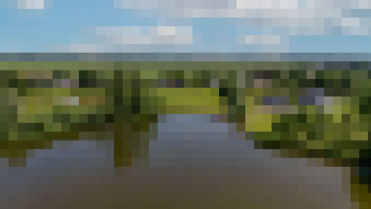 Zwanegatsedijk 4 A Maasdam thumbnail 35