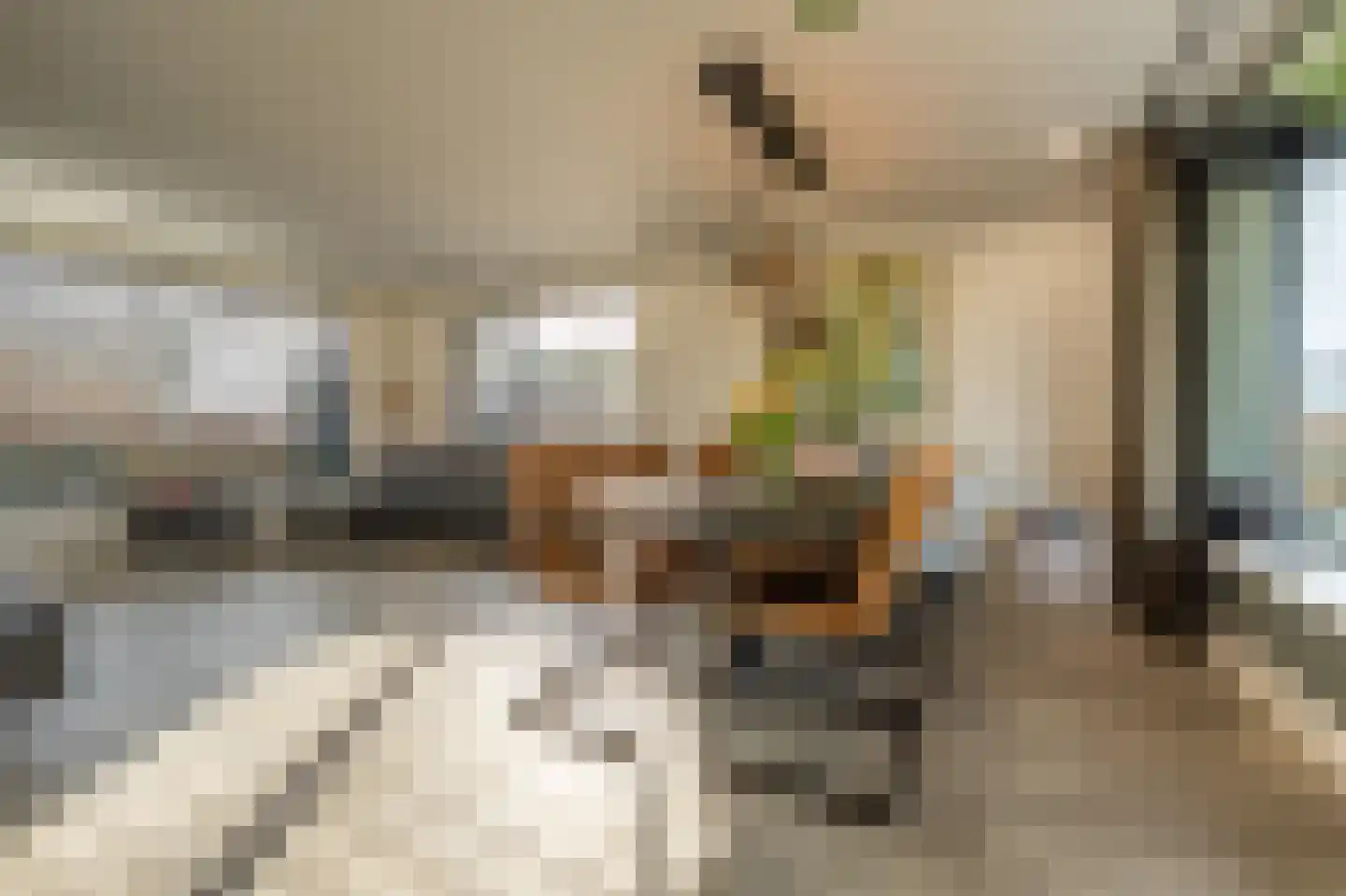 Zwanegatsedijk 4 A Maasdam thumbnail 4