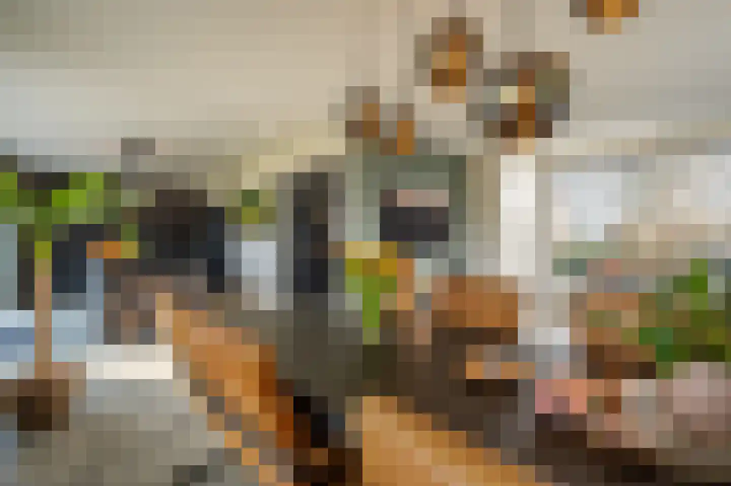 Zwanegatsedijk 4 A Maasdam thumbnail 5