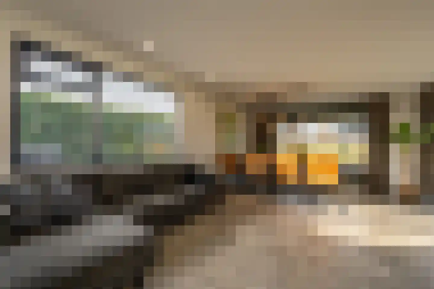 Zwanegatsedijk 4 A Maasdam thumbnail 6