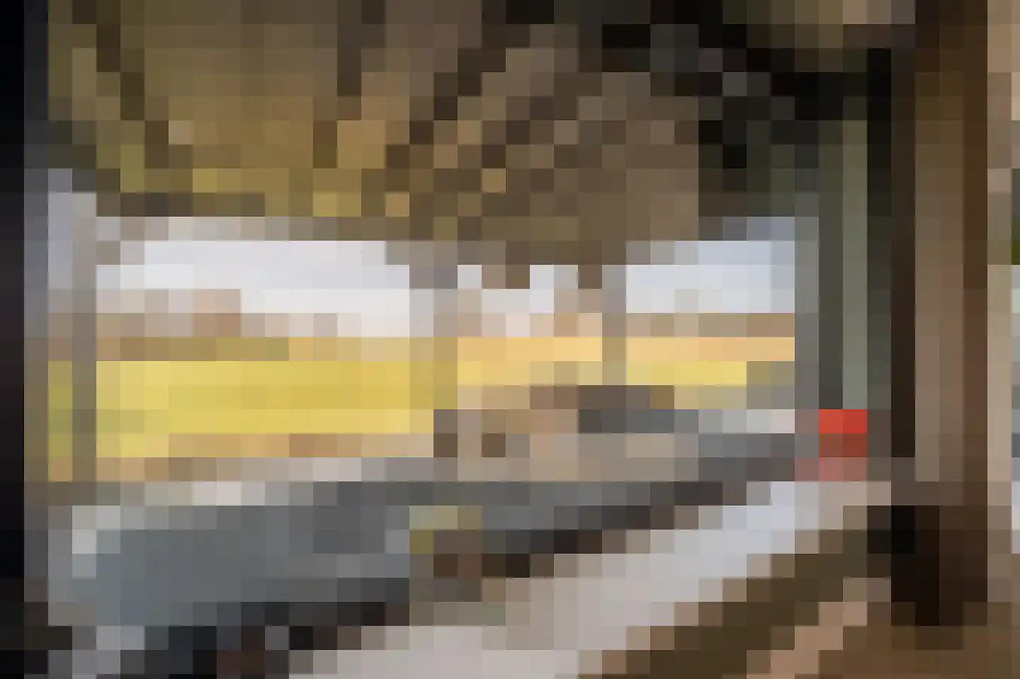 Zwanegatsedijk 4 A Maasdam thumbnail 7