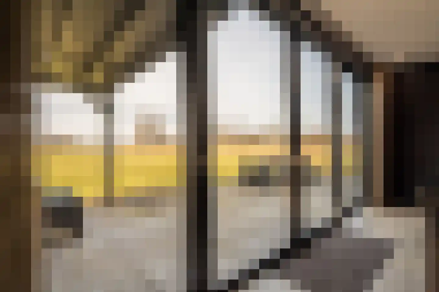 Zwanegatsedijk 4 A Maasdam thumbnail 8