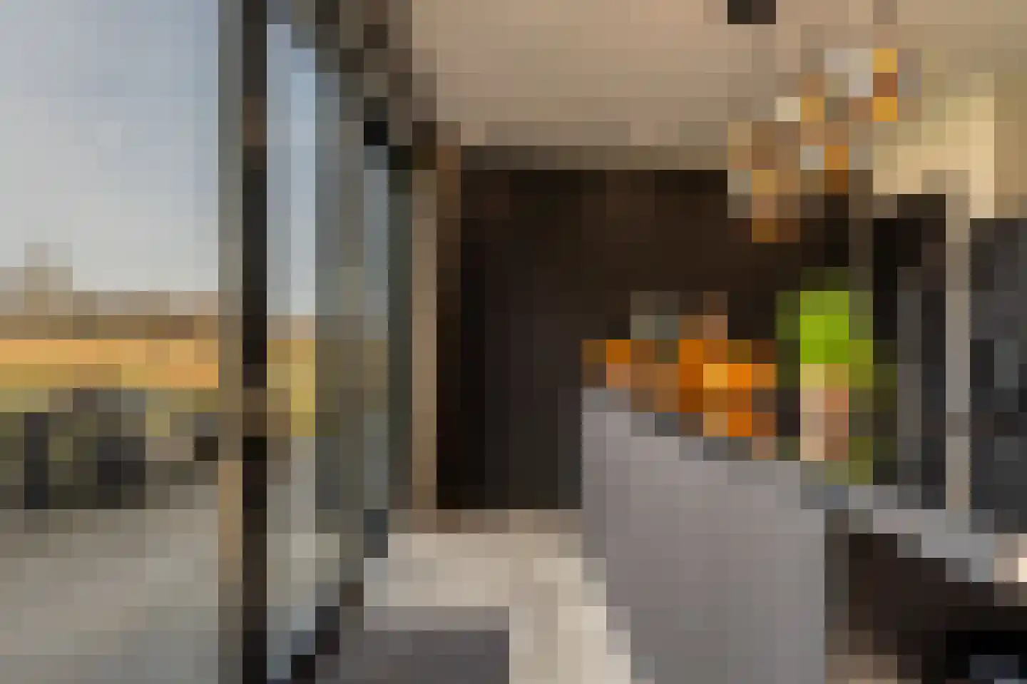 Zwanegatsedijk 4 A Maasdam thumbnail 9