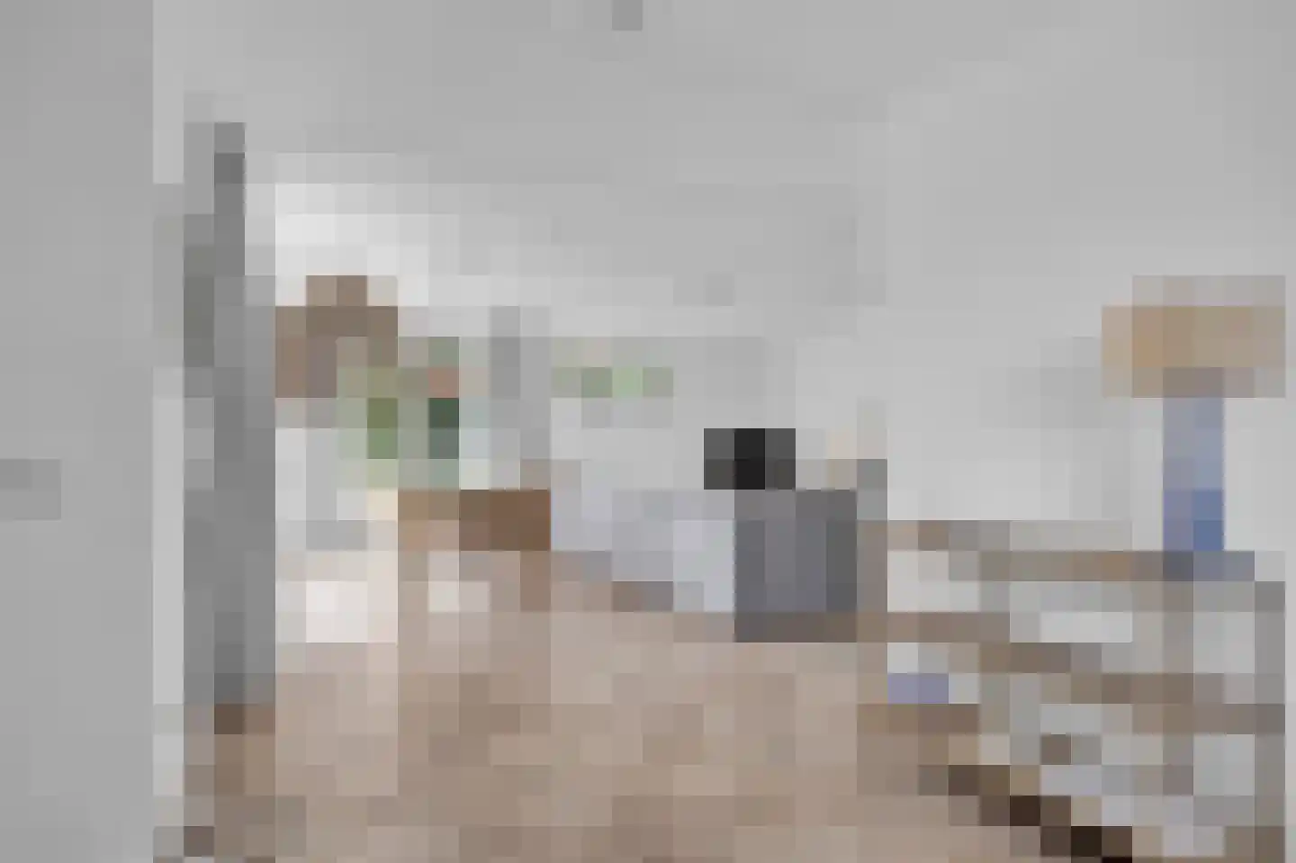 Zwanenbalg 10 Makkum thumbnail 18