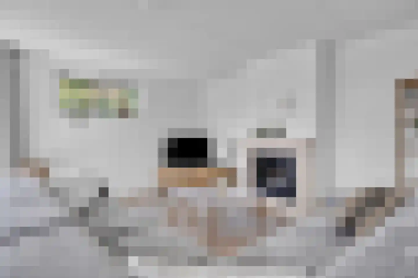 Zwanenbalg 10 Makkum thumbnail 20