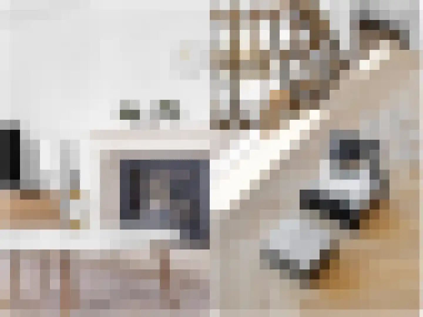Zwanenbalg 10 Makkum thumbnail 22