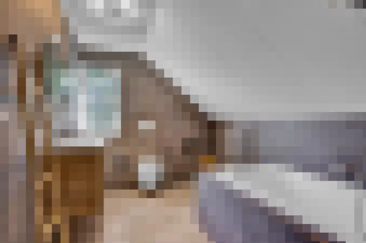 Zwanenbalg 10 Makkum thumbnail 27
