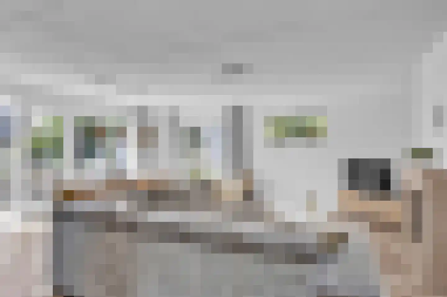 Zwanenbalg 10 Makkum thumbnail 9