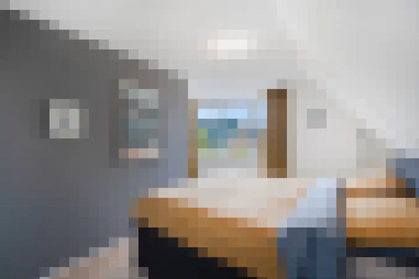 Zwanenbalg 1110 Julianadorp thumbnail 18