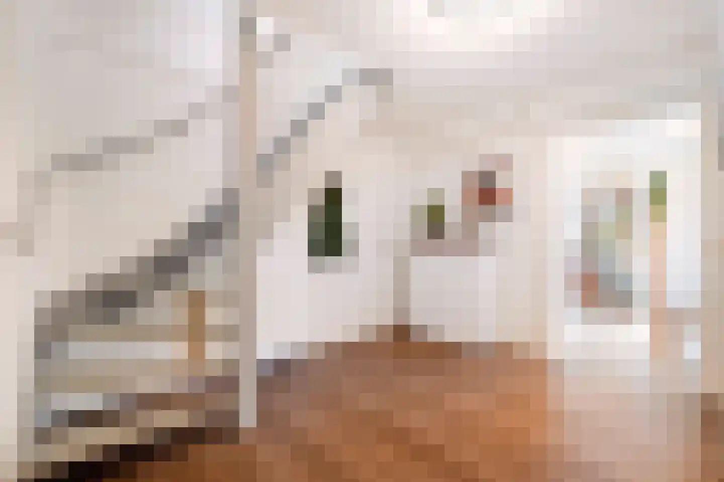 Zwanenbalg 1110 Julianadorp thumbnail 6