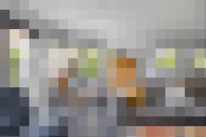 Zwanenbalg 1117 Julianadorp thumbnail 12
