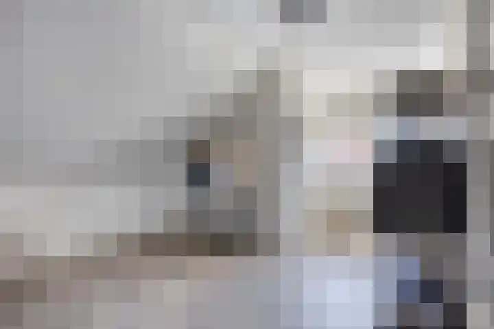 Zwanenbalg 1117 Julianadorp thumbnail 21