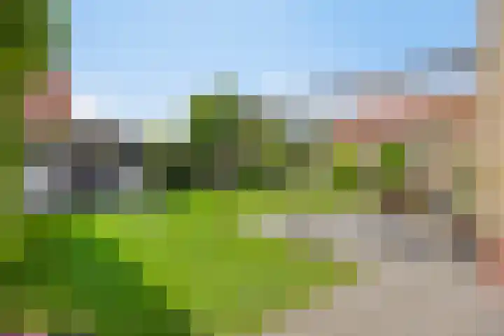 Zwanenbalg 1117 Julianadorp thumbnail 26