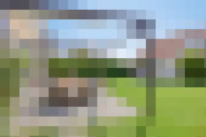 Zwanenbalg 1117 Julianadorp thumbnail 28