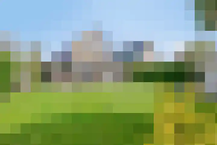 Zwanenbalg 1117 Julianadorp thumbnail 30