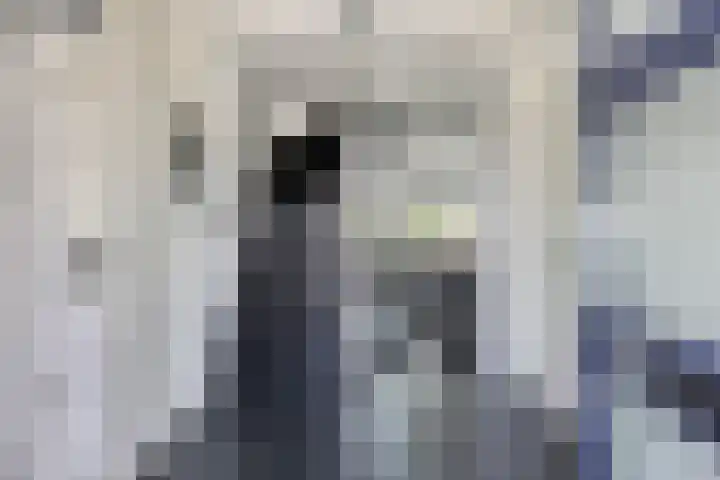 Zwanenbalg 1117 Julianadorp thumbnail 6