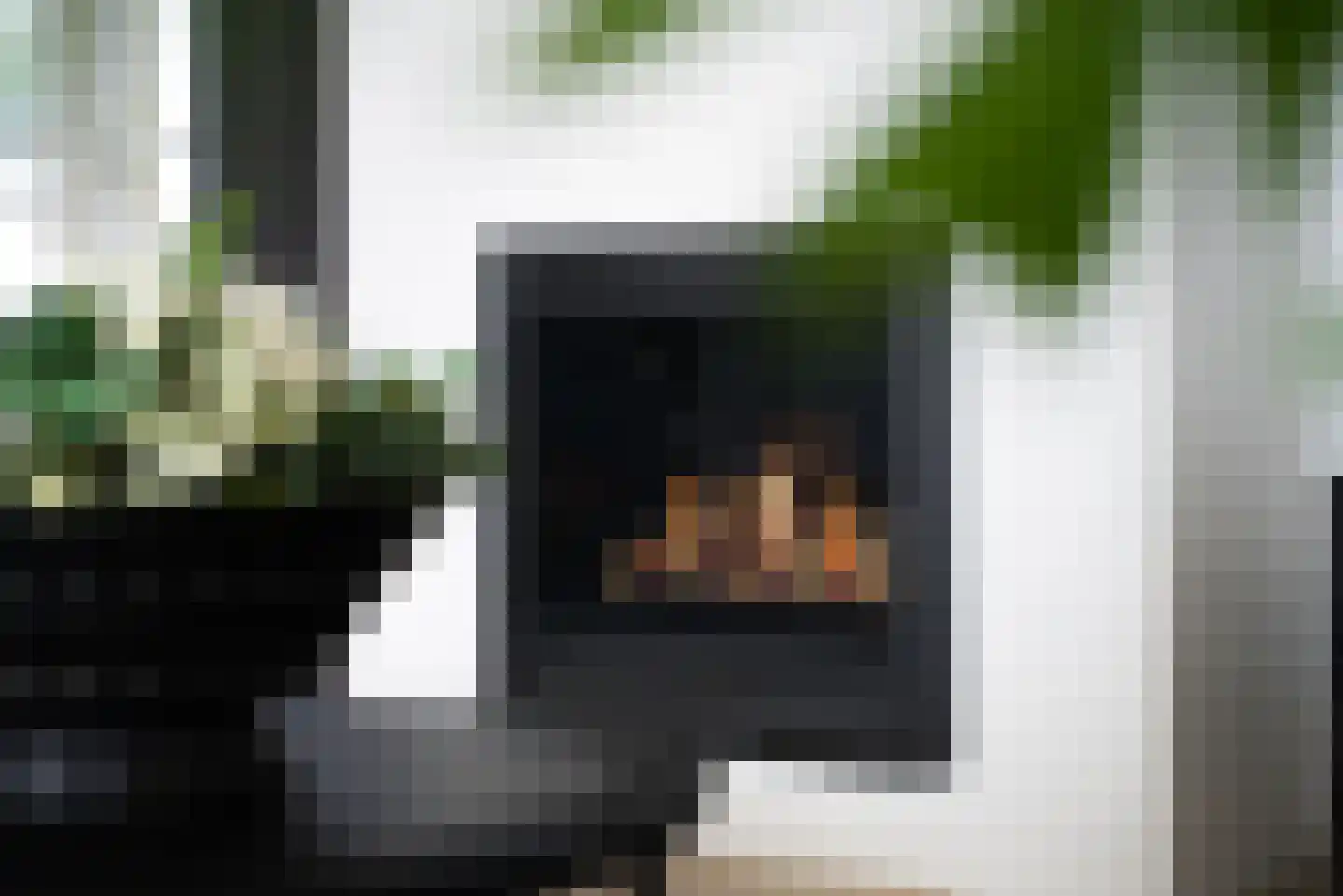 Zwanenbalg 14 Makkum thumbnail 11