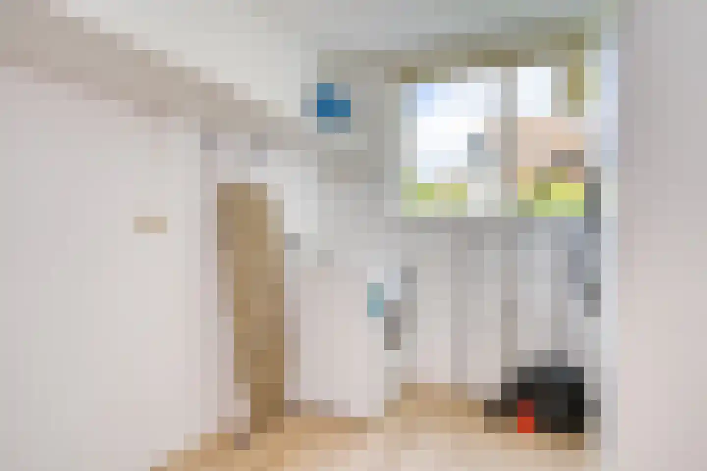 Zwanenbalg 14 Makkum thumbnail 17