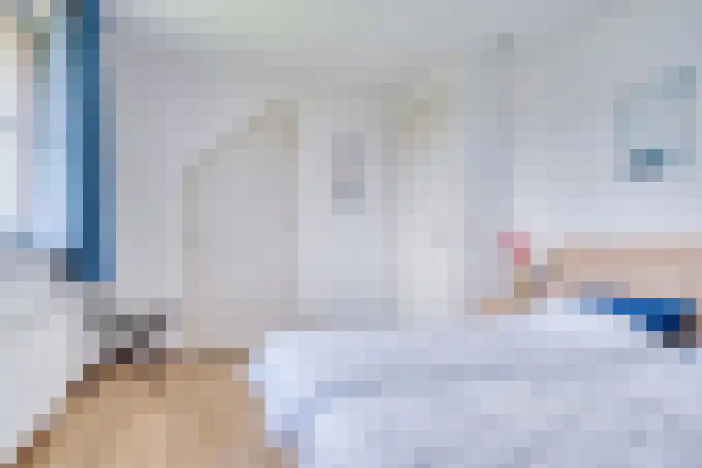 Zwanenbalg 14 Makkum thumbnail 23
