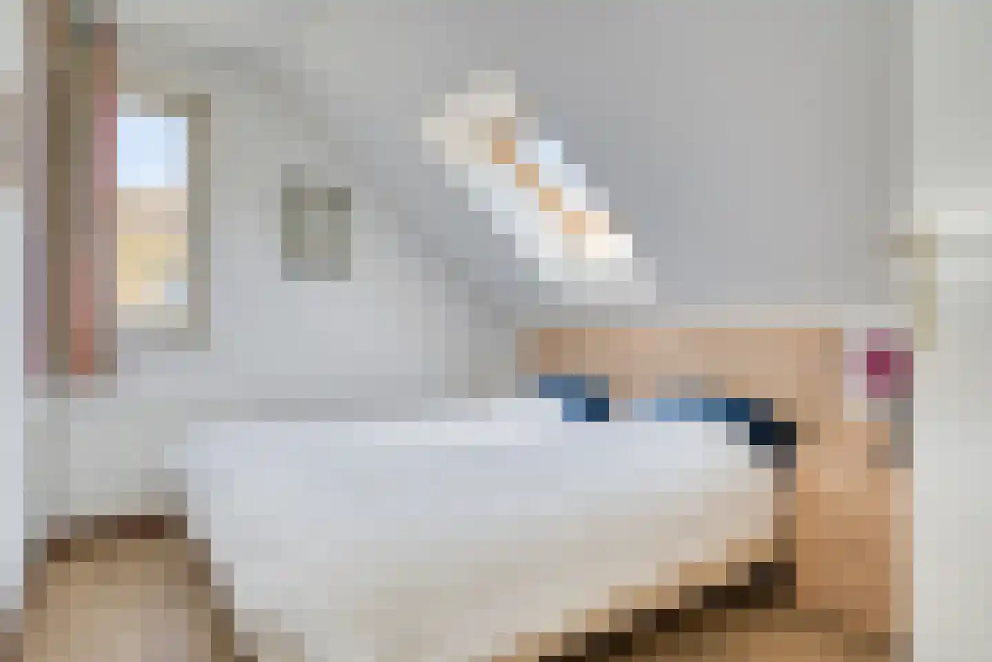 Zwanenbalg 14 Makkum thumbnail 26