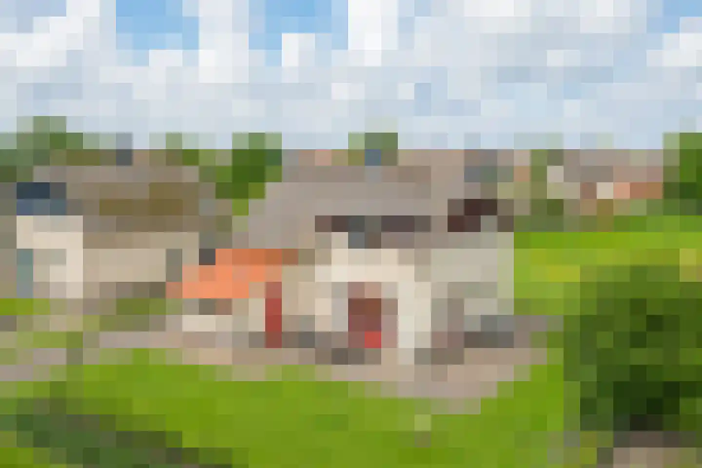 Zwanenbalg 14 Makkum thumbnail 34