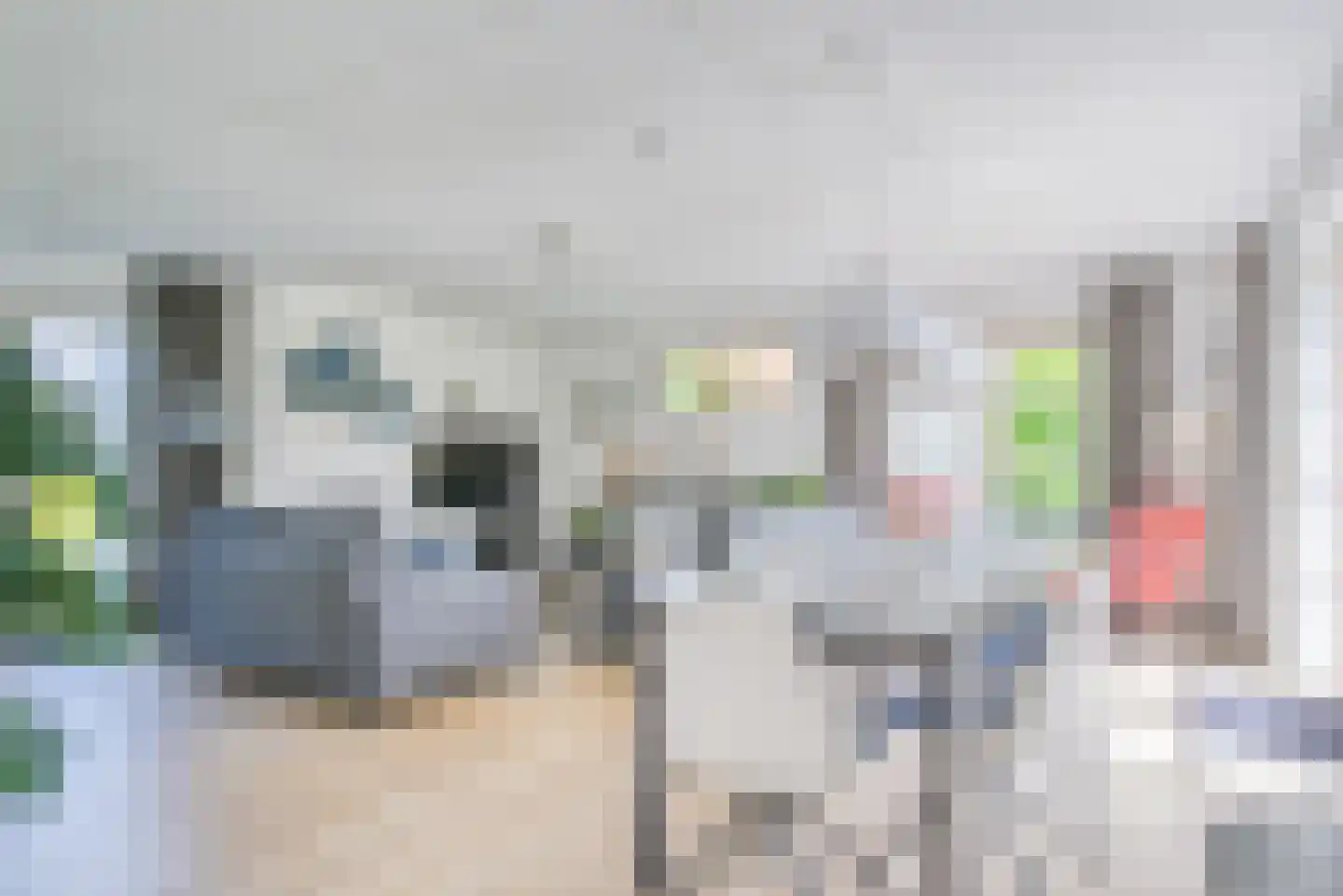 Zwanenbalg 14 Makkum thumbnail 8