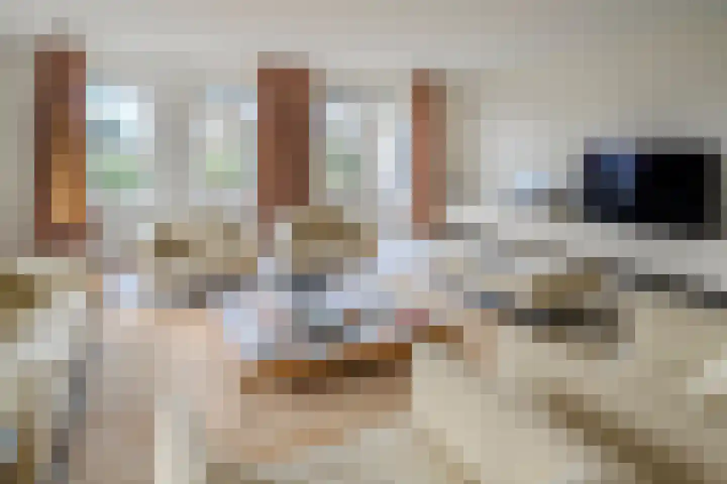 Zwanenbalg 1516 Julianadorp thumbnail 12