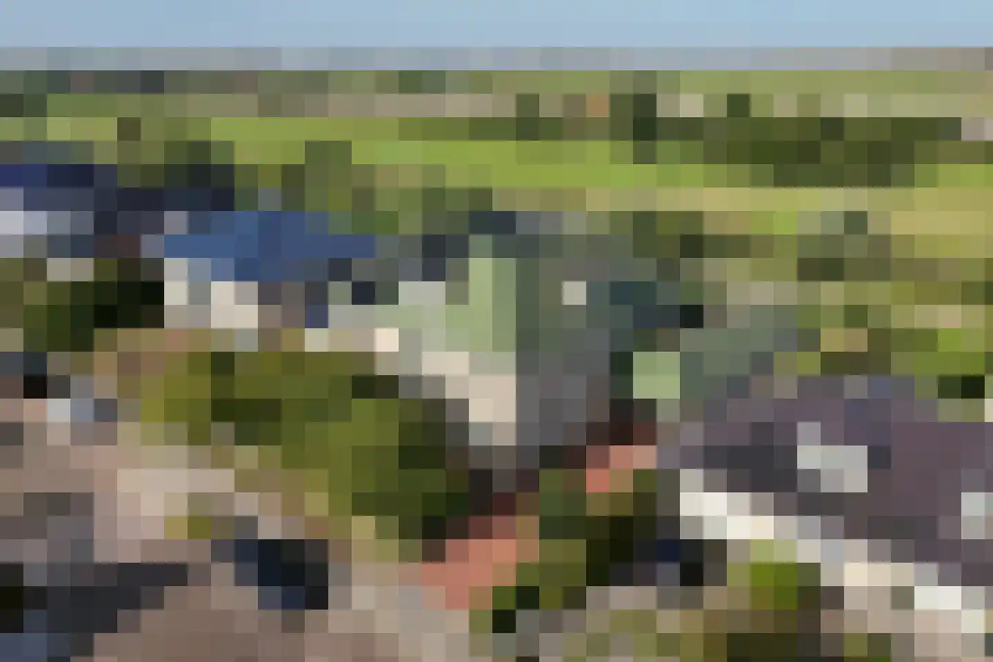 Zwanenbalg 1516 Julianadorp thumbnail 4