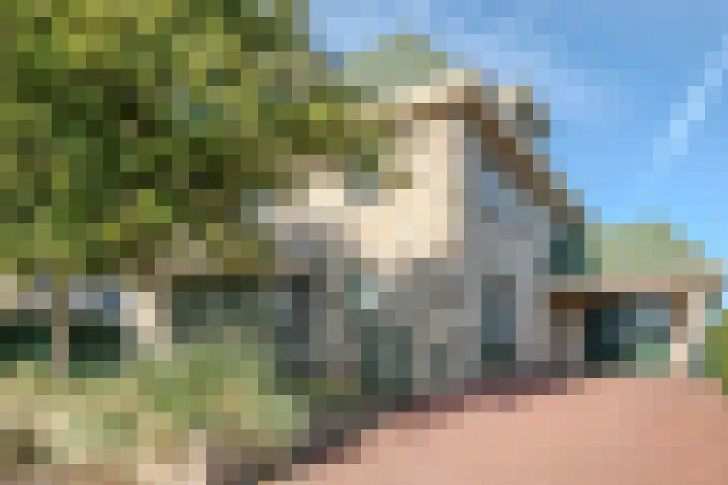 Zwanenbalg 1516 Julianadorp thumbnail 5
