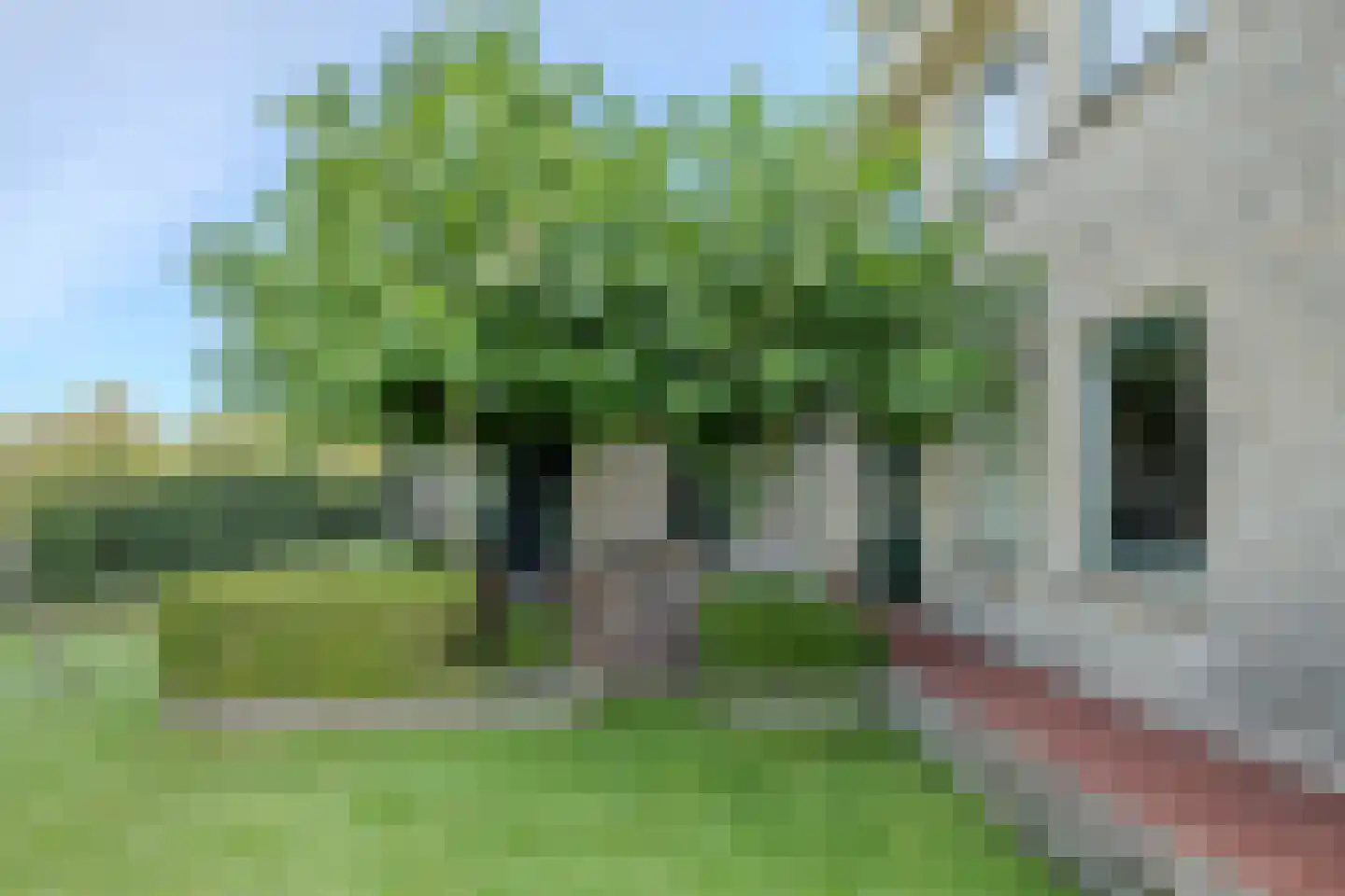 Zwanenbalg 1516 Julianadorp thumbnail 56