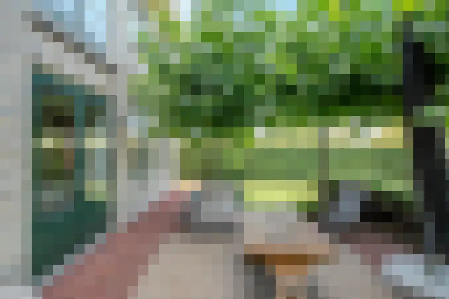 Zwanenbalg 1516 Julianadorp thumbnail 57