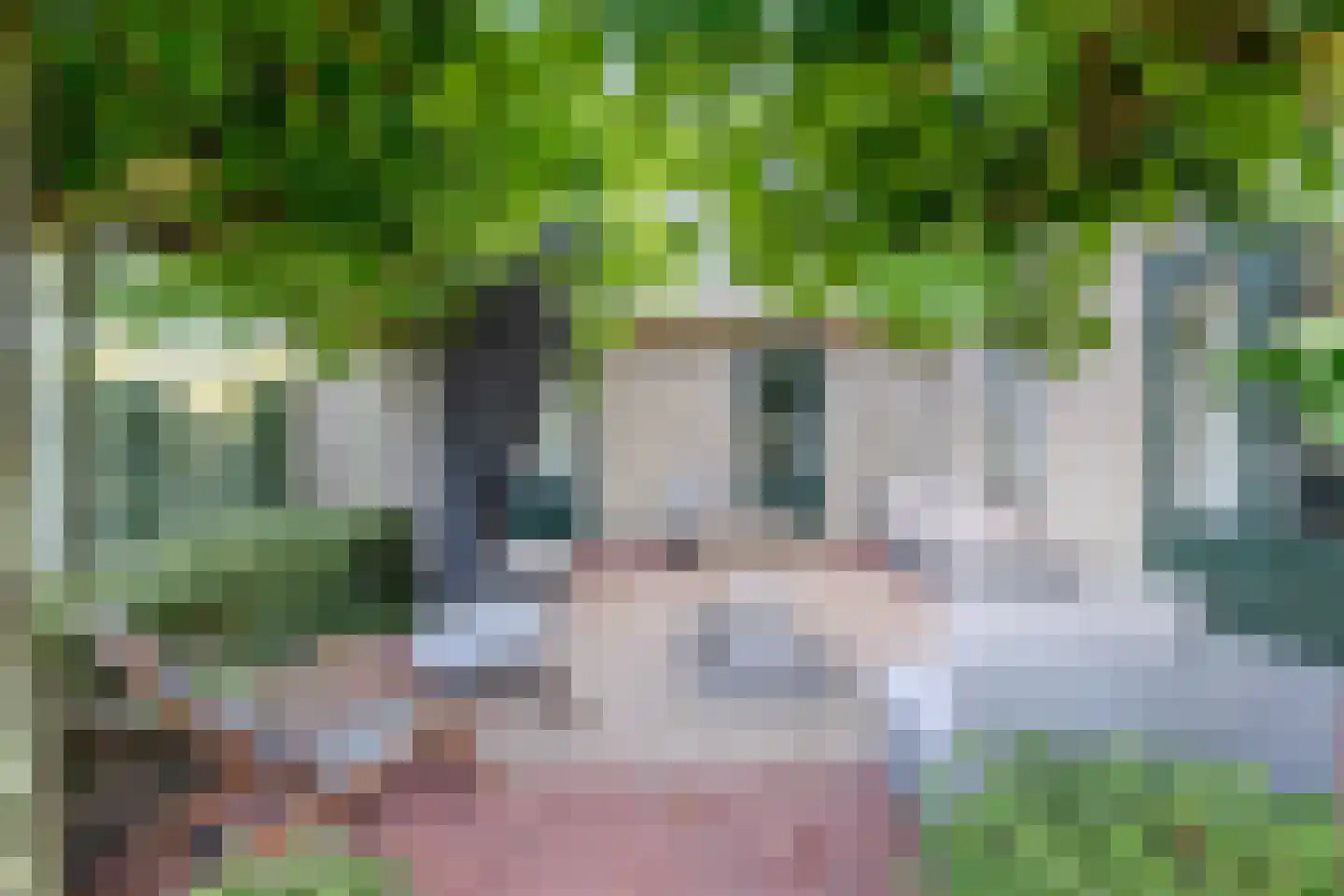 Zwanenbalg 1516 Julianadorp thumbnail 58