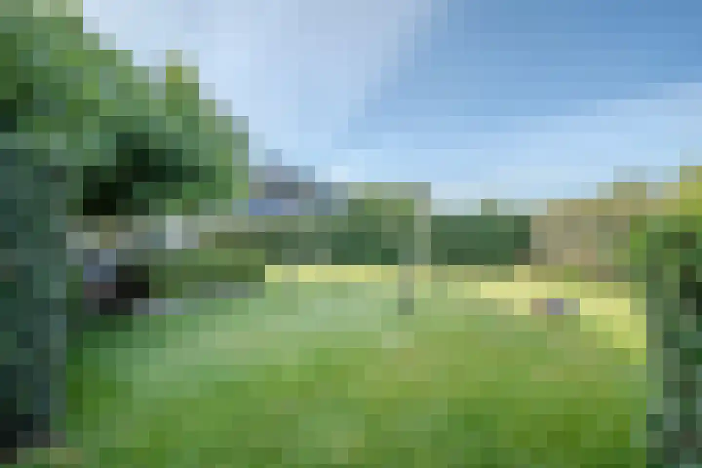Zwanenbalg 1516 Julianadorp thumbnail 59
