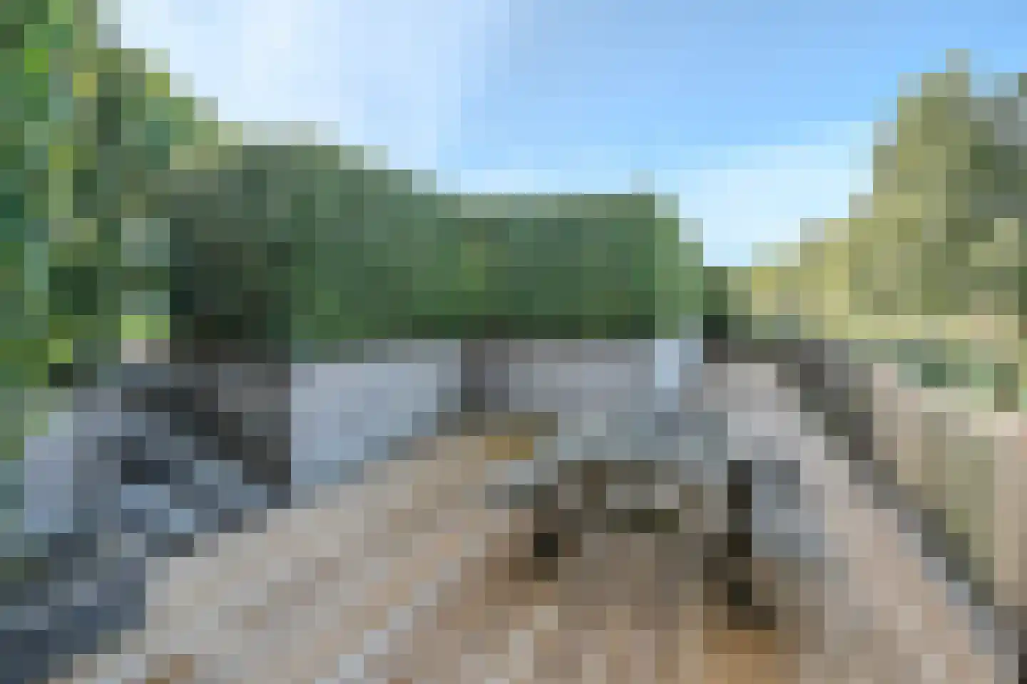 Zwanenbalg 1516 Julianadorp thumbnail 61
