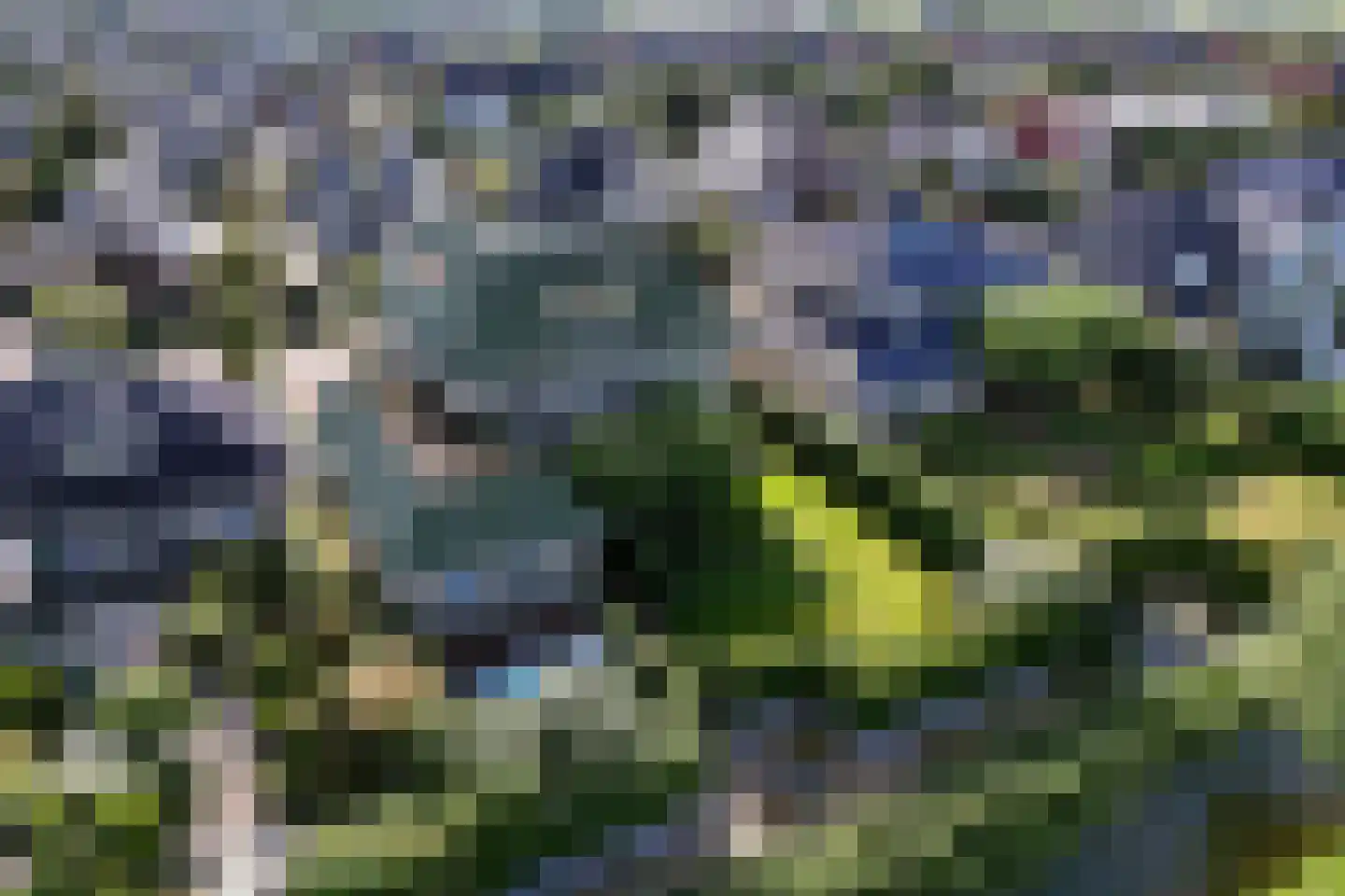 Zwanenbalg 1516 Julianadorp thumbnail 67