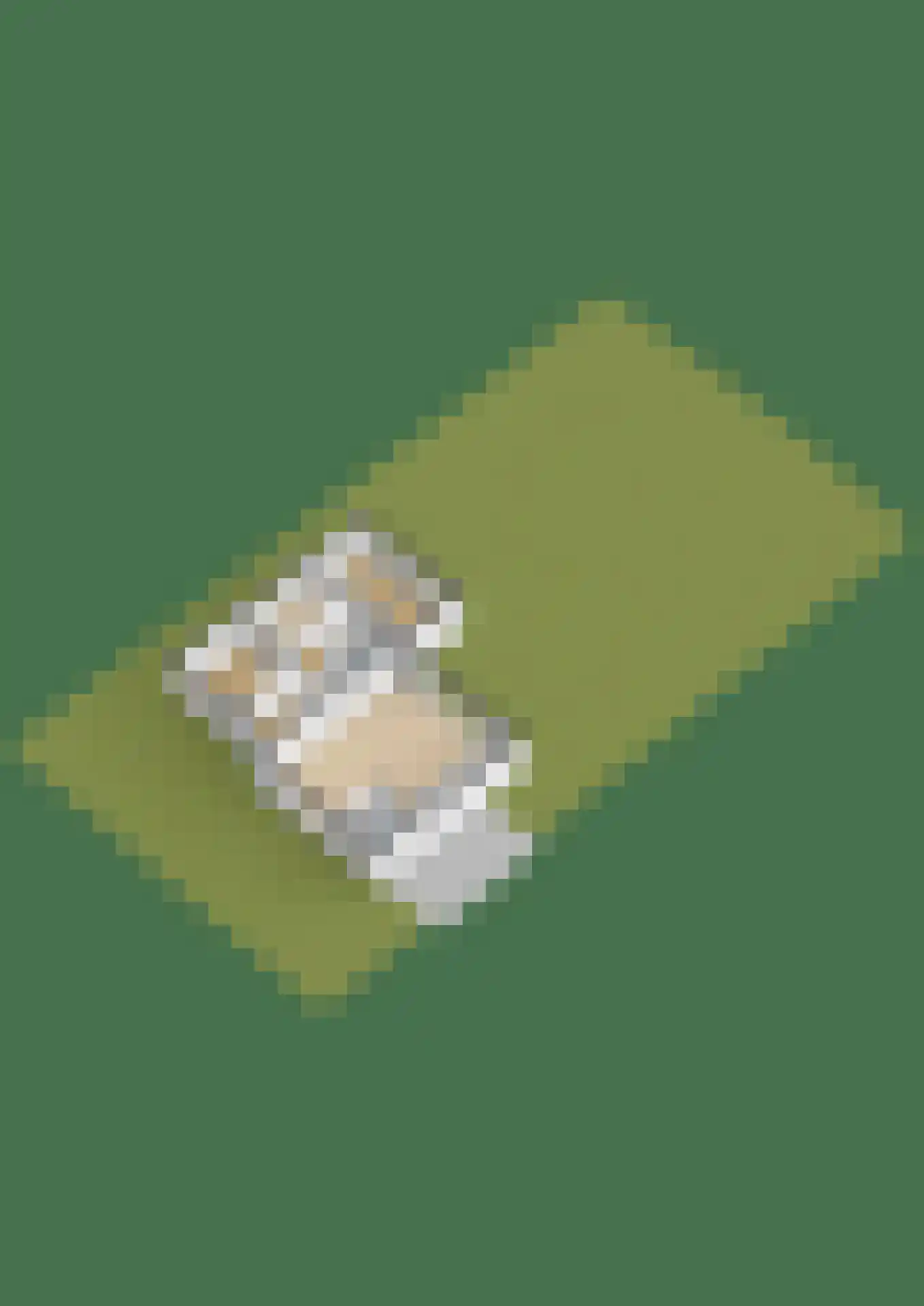 Zwanenbalg 1518 Julianadorp thumbnail 43